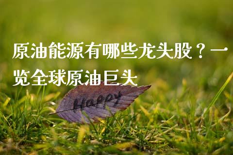 原油能源有哪些龙头股？一览全球原油巨头_https://cj007.lansai.wang_外汇交易_第1张