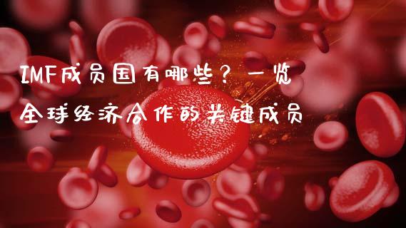 IMF成员国有哪些？一览全球经济合作的关键成员_https://cj007.lansai.wang_财经新闻_第1张