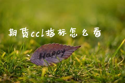 期货ccl指标怎么看_https://cj007.lansai.wang_财经新闻_第1张