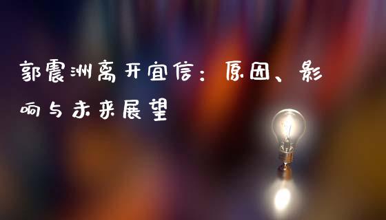 郭震洲离开宜信：原因、影响与未来展望_https://cj007.lansai.wang_金融监管_第1张
