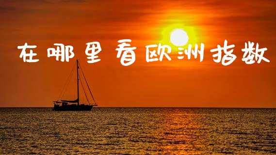 在哪里看欧洲指数_https://cj007.lansai.wang_全球市场_第1张