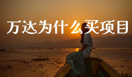 万达为什么买项目_https://cj007.lansai.wang_债券资讯_第1张