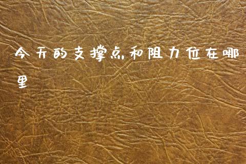 今天的支撑点和阻力位在哪里_https://cj007.lansai.wang_全球市场_第1张