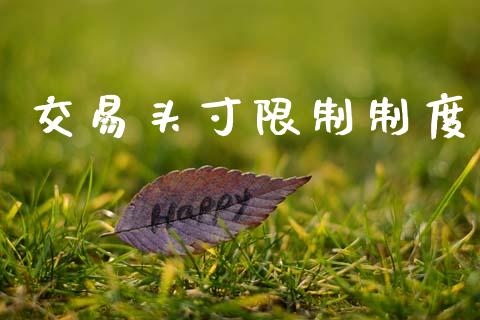 交易头寸限制制度_https://cj007.lansai.wang_期货开户_第1张