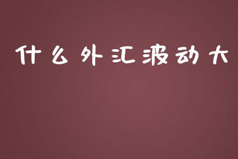什么外汇波动大_https://cj007.lansai.wang_债券资讯_第1张