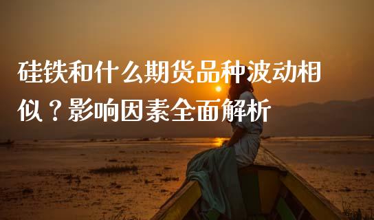 硅铁和什么期货品种波动相似？影响因素全面解析_https://cj007.lansai.wang_期货开户_第1张
