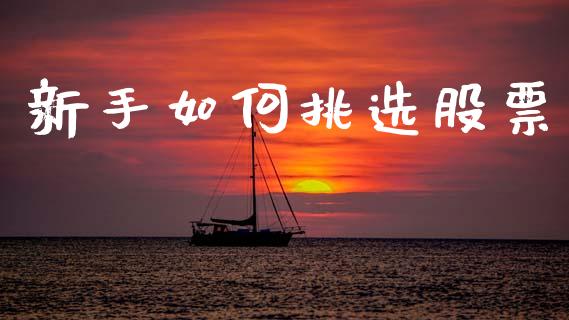 新手如何挑选股票_https://cj007.lansai.wang_债券资讯_第1张