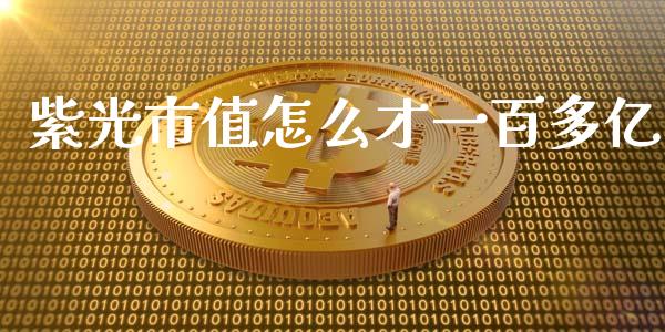 紫光市值怎么才一百多亿_https://cj007.lansai.wang_期货开户_第1张