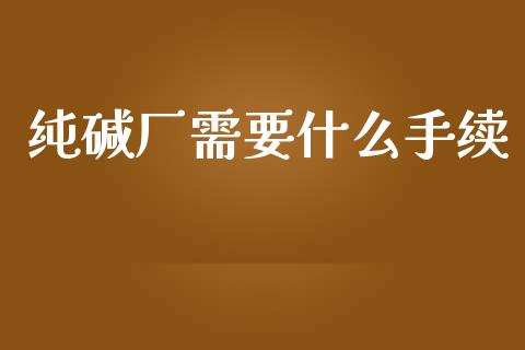 纯碱厂需要什么手续_https://cj007.lansai.wang_金融监管_第1张