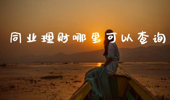 同业理财哪里可以查询_https://cj007.lansai.wang_财经新闻_第1张