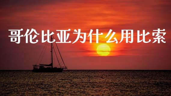 哥伦比亚为什么用比索_https://cj007.lansai.wang_外汇交易_第1张