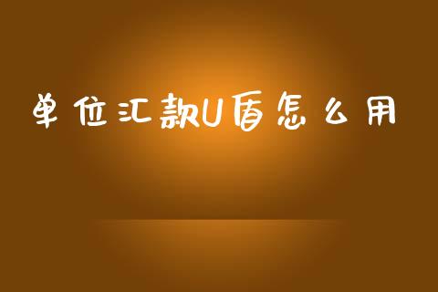 单位汇款U盾怎么用_https://cj007.lansai.wang_外汇交易_第1张