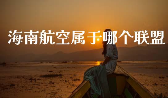 海南航空属于哪个联盟_https://cj007.lansai.wang_财经新闻_第1张
