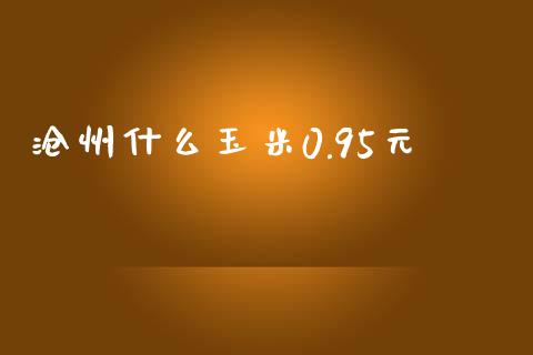 沧州什么玉米0.95元_https://cj007.lansai.wang_金融监管_第1张