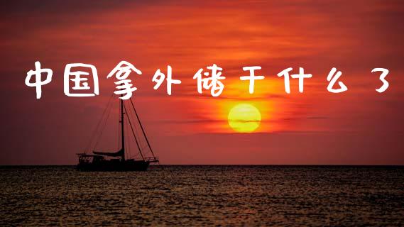 中国拿外储干什么了_https://cj007.lansai.wang_外汇交易_第1张