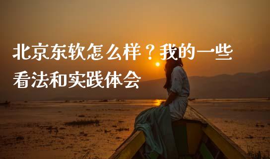 北京东软怎么样？我的一些看法和实践体会_https://cj007.lansai.wang_全球市场_第1张