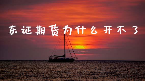 东证期货为什么开不了_https://cj007.lansai.wang_全球市场_第1张