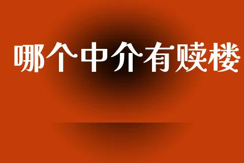 哪个中介有赎楼_https://cj007.lansai.wang_金融监管_第1张