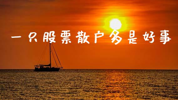 一只股票散户多是好事_https://cj007.lansai.wang_期货开户_第1张