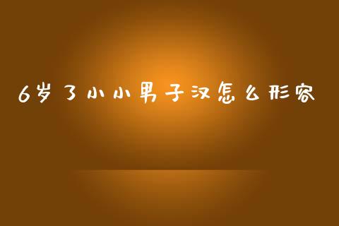 6岁了小小男子汉怎么形容_https://cj007.lansai.wang_全球市场_第1张
