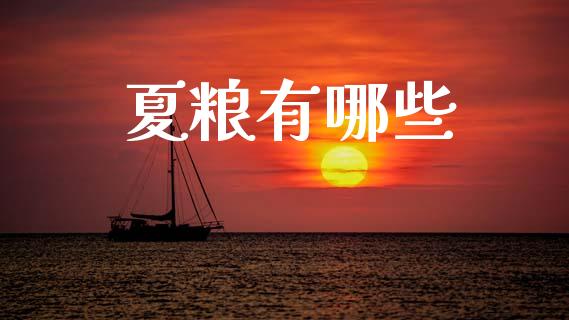 夏粮有哪些_https://cj007.lansai.wang_财经新闻_第1张