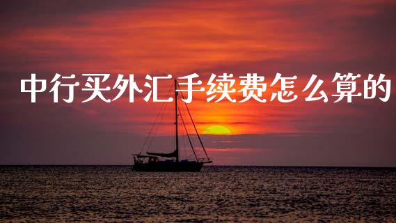 中行买外汇手续费怎么算的_https://cj007.lansai.wang_金融监管_第1张