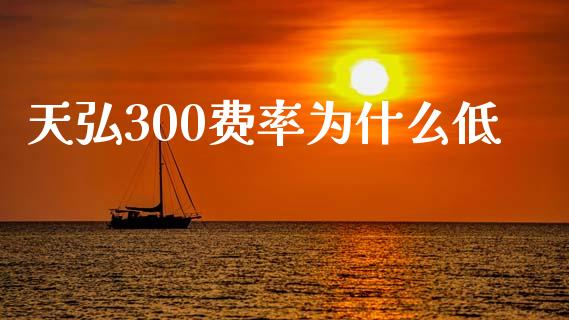 天弘300费率为什么低_https://cj007.lansai.wang_期货开户_第1张