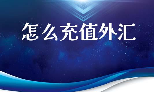 怎么充值外汇_https://cj007.lansai.wang_债券资讯_第1张
