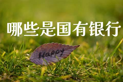 哪些是国有银行_https://cj007.lansai.wang_期货开户_第1张
