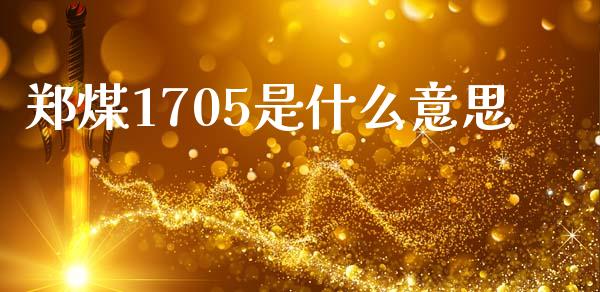 郑煤1705是什么意思_https://cj007.lansai.wang_期货开户_第1张