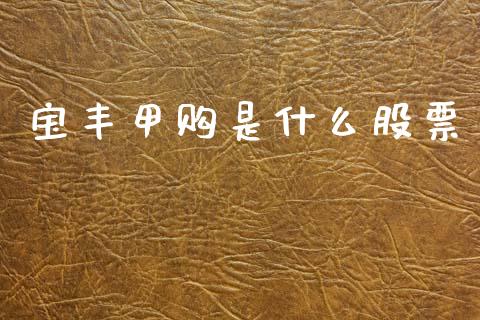 宝丰甲购是什么股票_https://cj007.lansai.wang_外汇交易_第1张