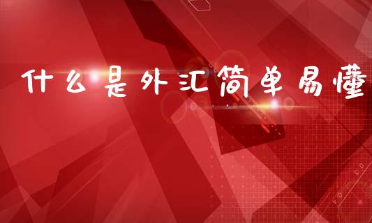 什么是外汇简单易懂_https://cj007.lansai.wang_全球市场_第1张