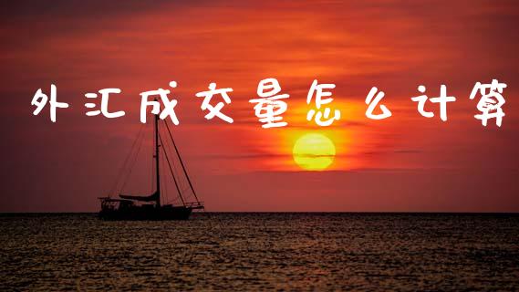 外汇成交量怎么计算_https://cj007.lansai.wang_金融监管_第1张