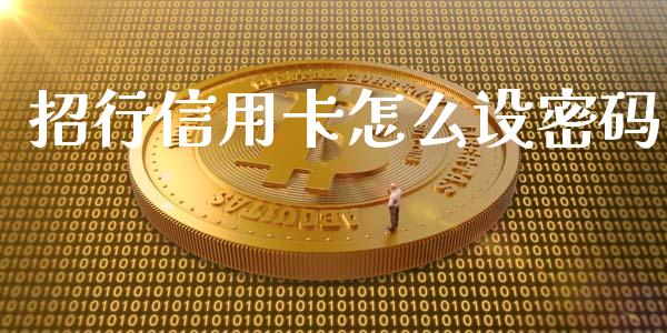 招行信用卡怎么设密码_https://cj007.lansai.wang_债券资讯_第1张