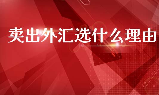卖出外汇选什么理由_https://cj007.lansai.wang_债券资讯_第1张