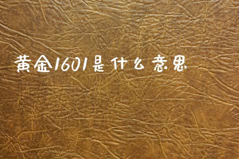 黄金1601是什么意思_https://cj007.lansai.wang_金融监管_第1张