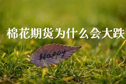 棉花期货为什么会大跌_https://cj007.lansai.wang_全球市场_第1张