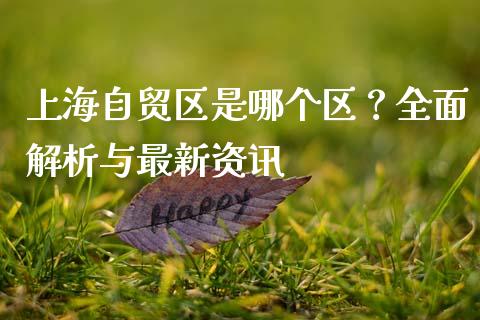 上海自贸区是哪个区？全面解析与最新资讯_https://cj007.lansai.wang_外汇交易_第1张