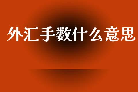 外汇手数什么意思_https://cj007.lansai.wang_期货开户_第1张