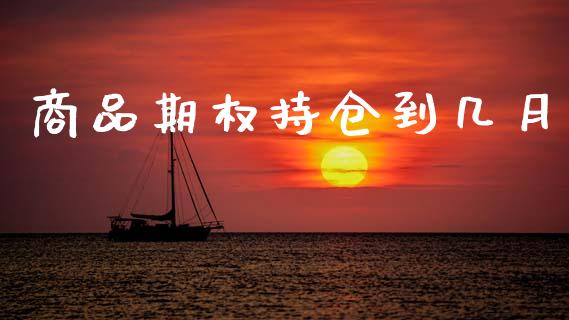 商品期权持仓到几月_https://cj007.lansai.wang_外汇交易_第1张