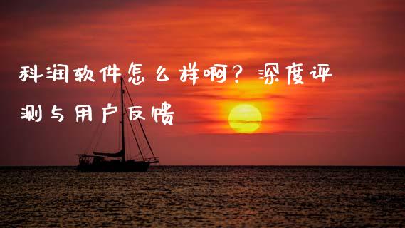 科润软件怎么样啊？深度评测与用户反馈_https://cj007.lansai.wang_金融监管_第1张