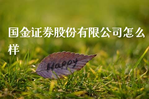 国金证券股份有限公司怎么样_https://cj007.lansai.wang_债券资讯_第1张