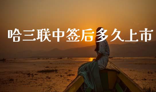 哈三联中签后多久上市_https://cj007.lansai.wang_债券资讯_第1张