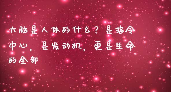 大脑是人体的什么？是指令中心，是发动机，更是生命的全部_https://cj007.lansai.wang_外汇交易_第1张