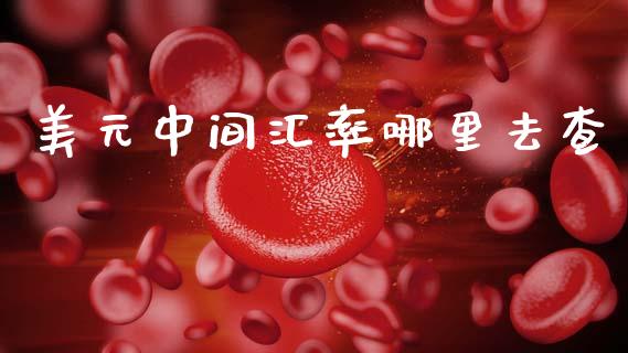 美元中间汇率哪里去查_https://cj007.lansai.wang_全球市场_第1张