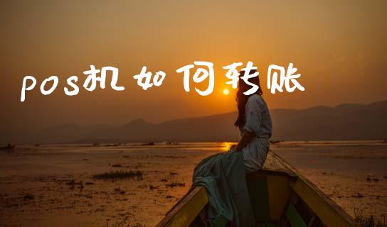 pos机如何转账_https://cj007.lansai.wang_金融监管_第1张