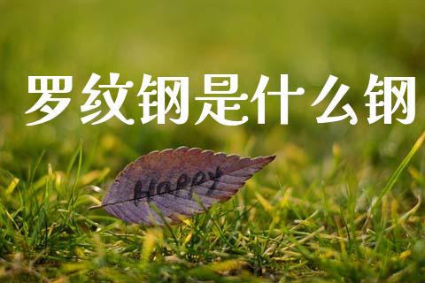罗纹钢是什么钢_https://cj007.lansai.wang_金融监管_第1张