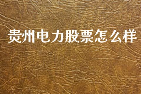 贵州电力股票怎么样_https://cj007.lansai.wang_期货开户_第1张