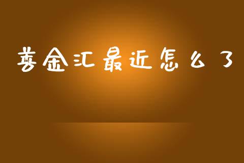 善金汇最近怎么了_https://cj007.lansai.wang_期货开户_第1张