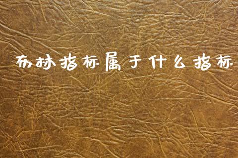 布林指标属于什么指标_https://cj007.lansai.wang_期货开户_第1张